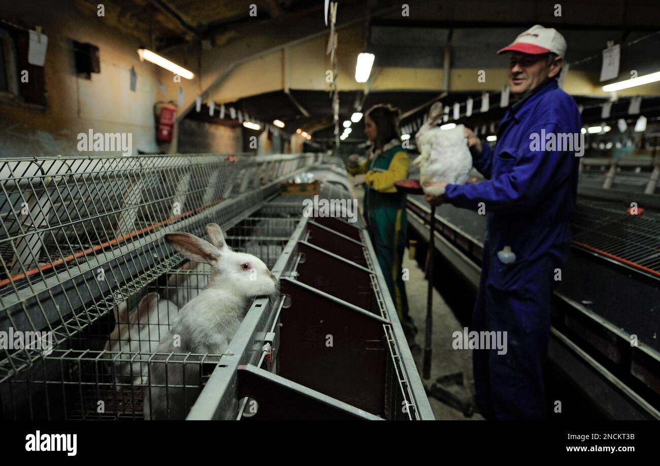 Benancio Burgui, right, a rabbit farmer, works with his daughter, Lucia ...