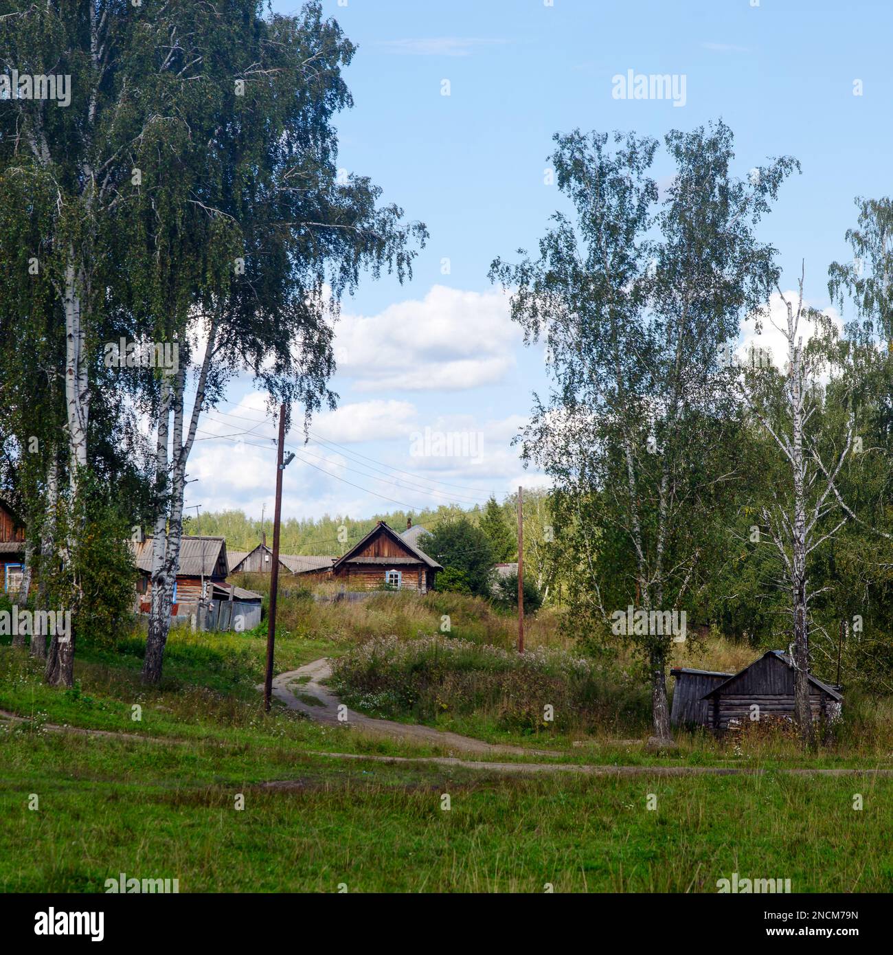 Village sibérien paysage avec un tour de route rurale aux toboggans avec maisons et arbres, birches vert champ sous les nuages. Banque D'Images