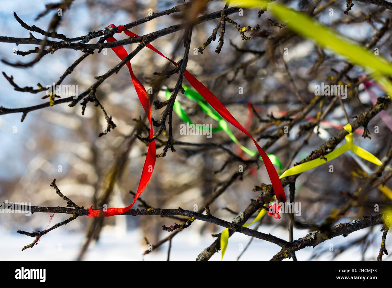 Rubans de voeu colorés attachés sur les branches d'un arbre Banque D'Images