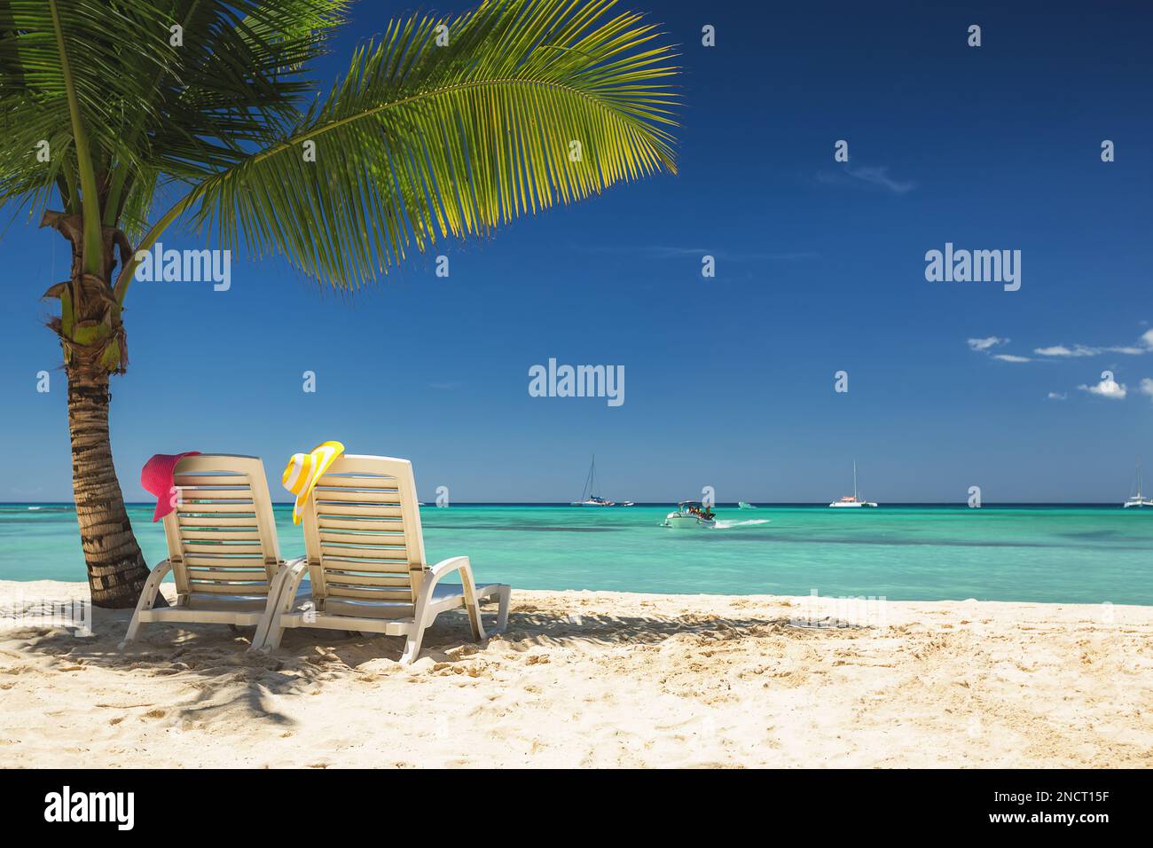 Palm Tree et plage tropicale avec chaises longues Banque D'Images