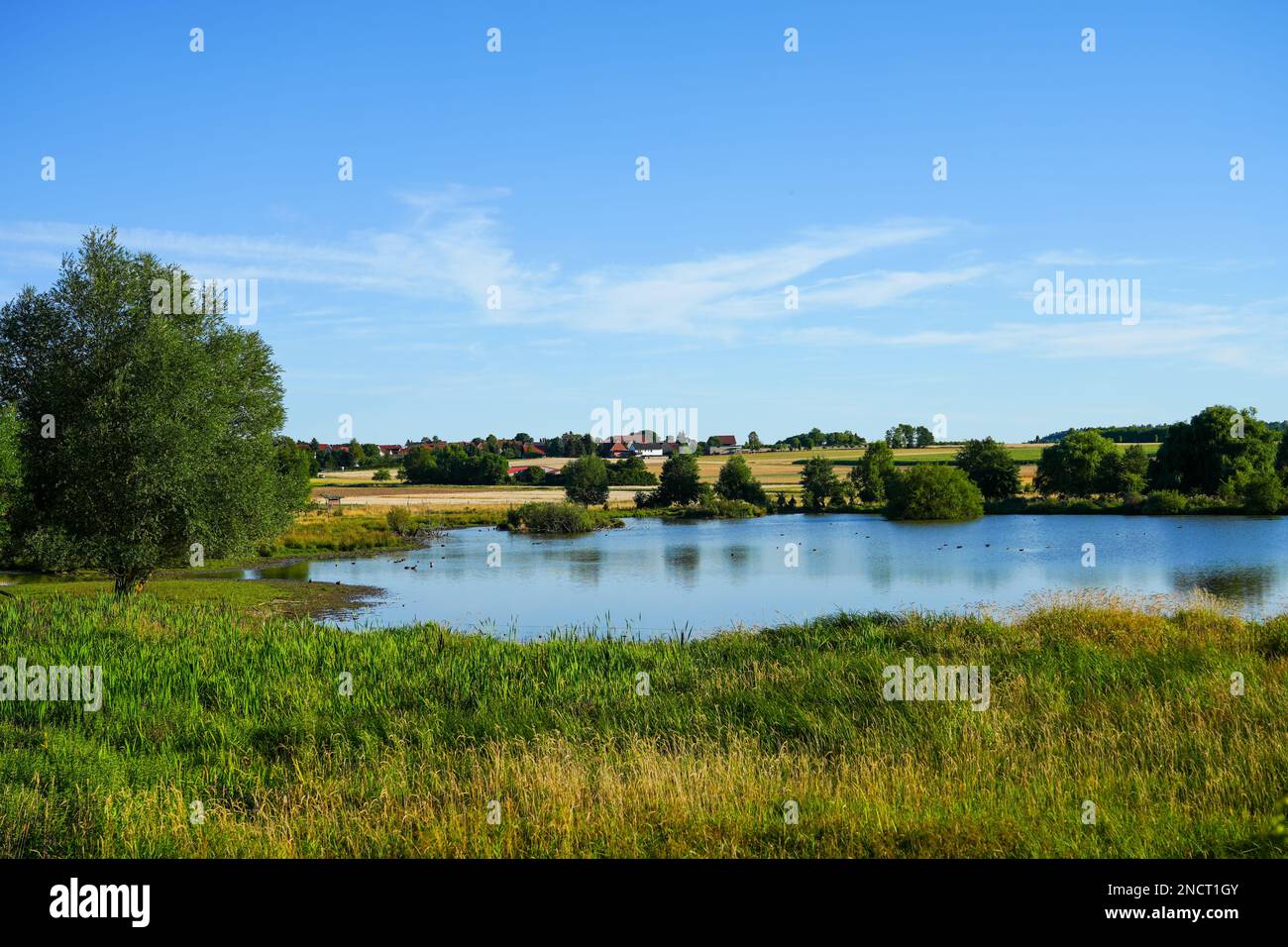 Réserve naturelle de Glockenborn dans le quartier de Bründersen près de Wolfhagen. Paysage avec prairies humides et petits étangs. Banque D'Images