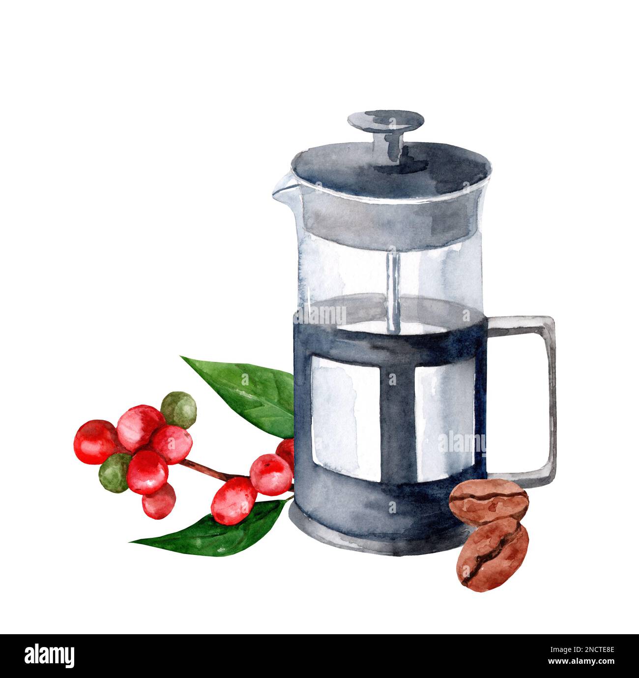 Machine à café aquarelle peinte à la main avec grains de café sur fond blanc. Presse française en verre. Banque D'Images