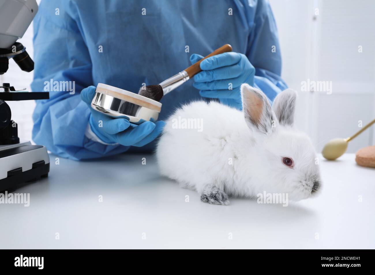 Scientifique avec des produits de lapin et de maquillage en laboratoire chimique, gros plan. Tests sur des animaux Banque D'Images