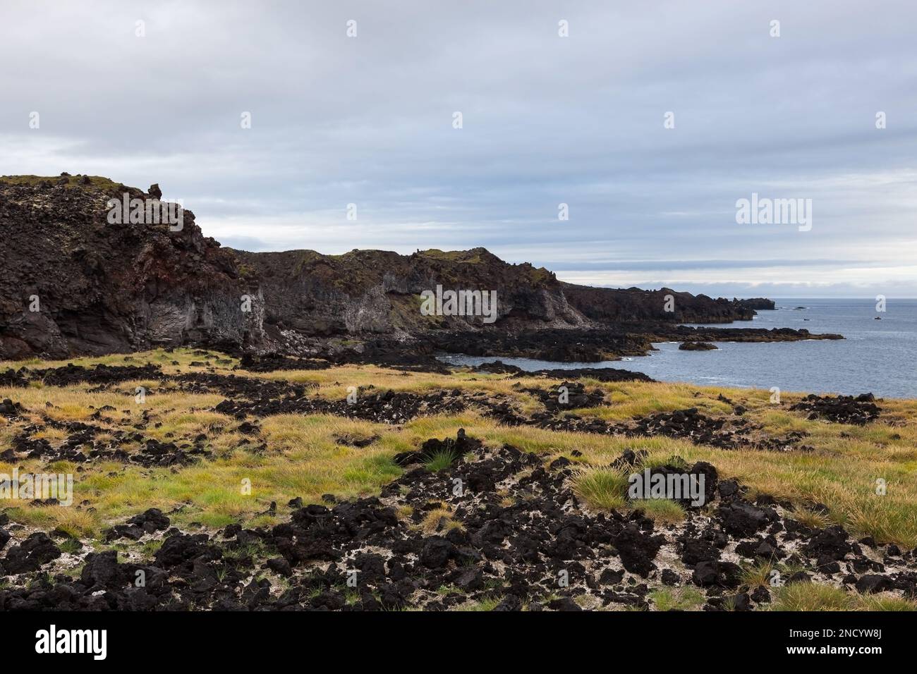 Paysage melancholique de l'Islande avec des champs de lave volcaniques sombres, herbe verte et jaune et vue sur l'océan Atlantique avec des nuages gris bas. Banque D'Images