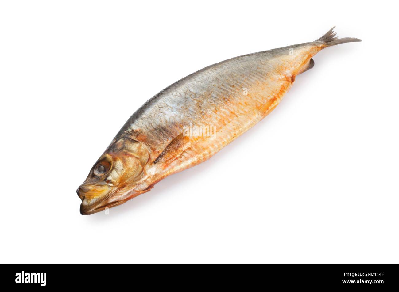 Photo de studio de kippers naturellement fumés sur fond blanc - John Gollop Banque D'Images