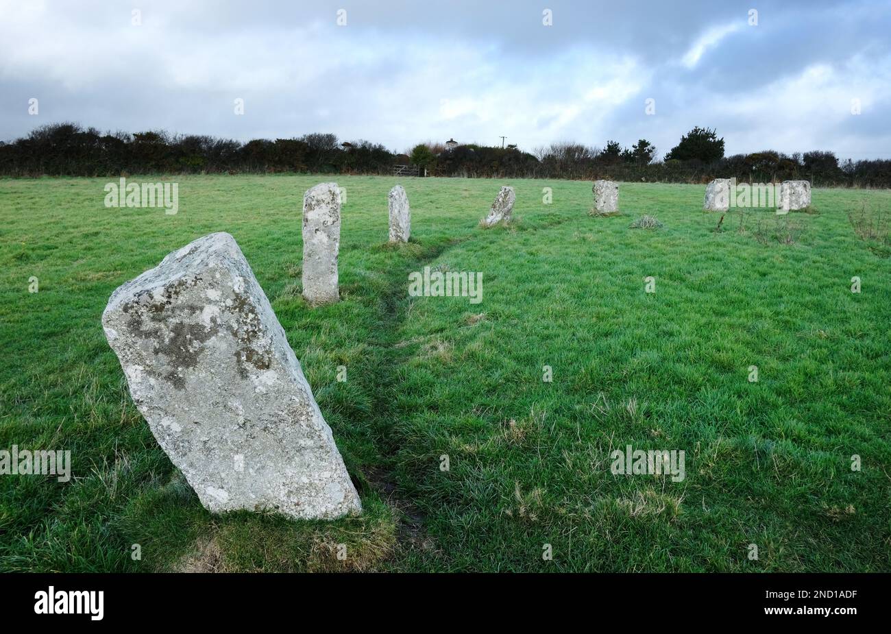 Merry Maidens Stone Circle, Penwith, Cornwall, Royaume-Uni - John Gollop Banque D'Images