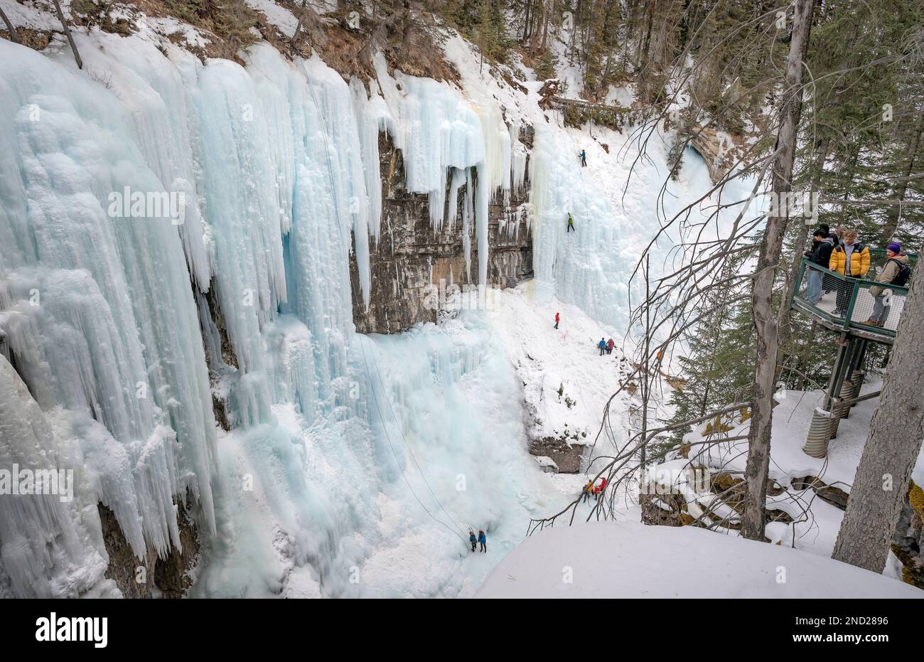 Parc national Banff, Alberta, Canada – 12 février 2023 : les gens qui se trouvent sur une terrasse d'observation regardent les grimpeurs de glace sur une chute d'eau gelée dans le canyon Johnston Banque D'Images