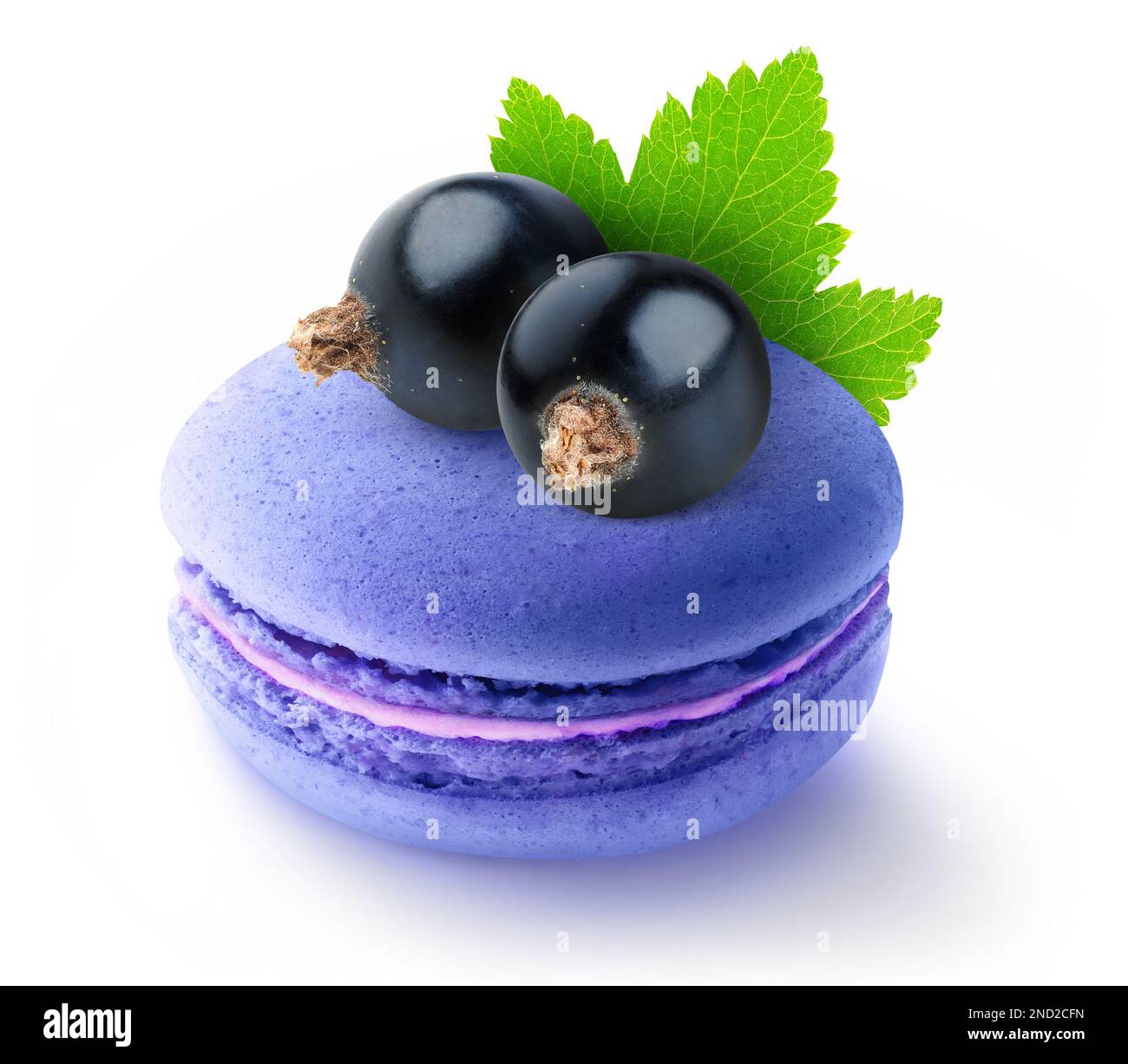 Un macaron aromatisé de groseilles noires avec baies sur le dessus, isolé sur fond blanc Banque D'Images