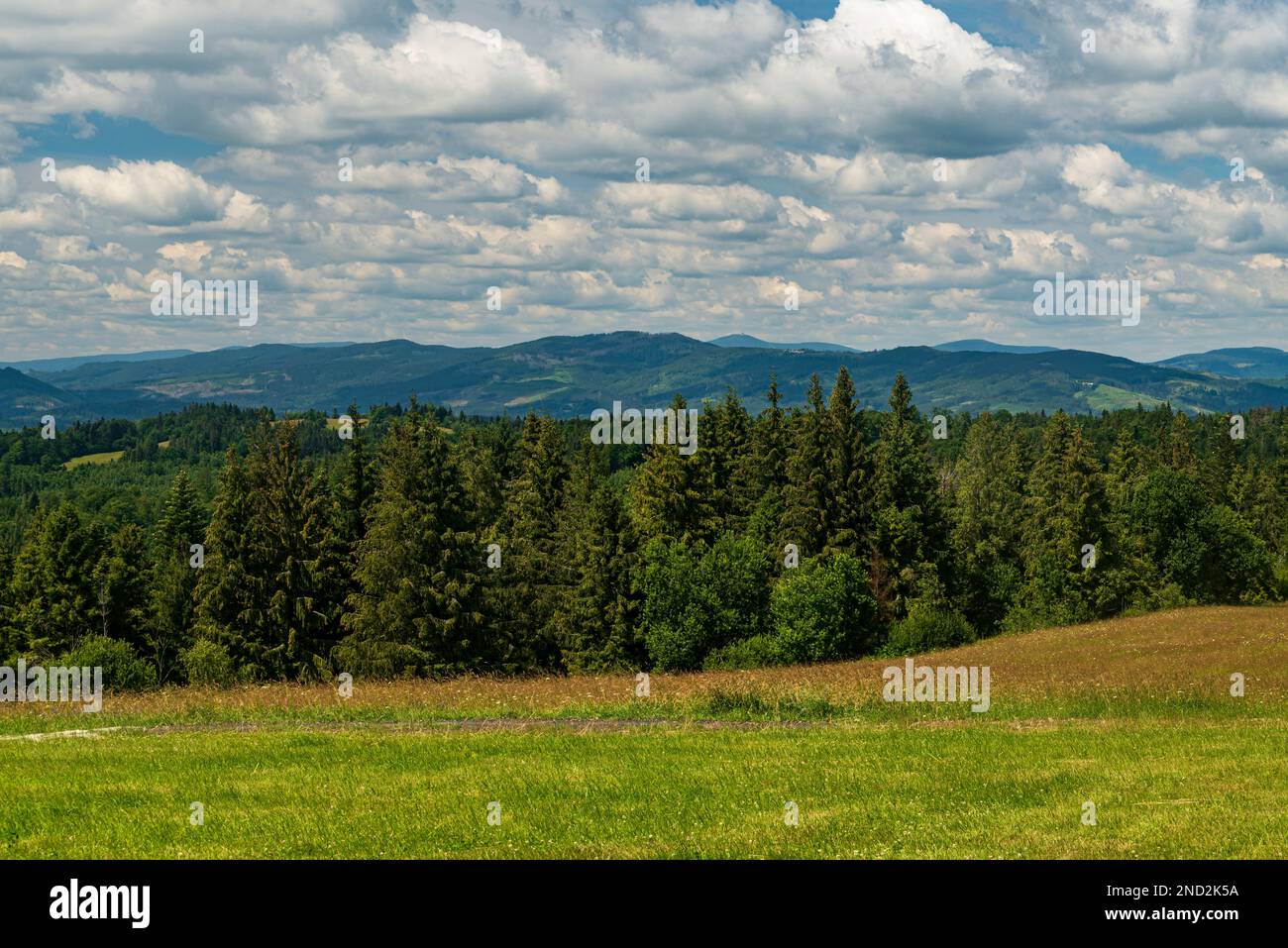 Les collines les plus proches de Jablunkovske medzihorie et Moravskoslezske Beskydy montagnes de pré en dessous de la colline de Lieskova sommet dans Kysucke Berskydy montagnes in Banque D'Images