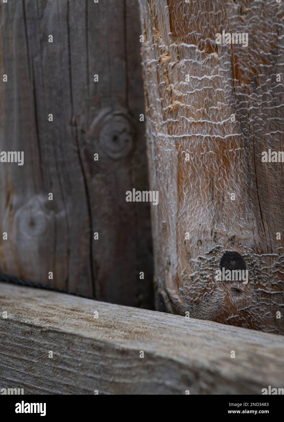 Poteaux en bois dans la marina à Walberswick, Suffolk. Banque D'Images