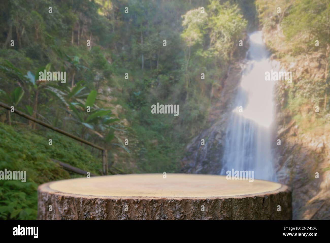 table en bois podium à l'extérieur cascade vert luxuriante forêt tropicale nature background.organic produit naturel sain présent placement socle co Banque D'Images