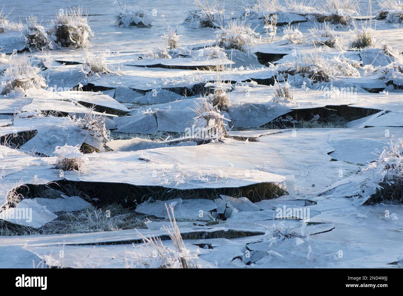 La glace s'est effondrée, le champ a été inondé puis gelé, l'eau s'est évacuée en laissant la glace suspendue qui s'est ensuite effondrée, dans le champ, les ruines de Cowdray, Sussex, Banque D'Images