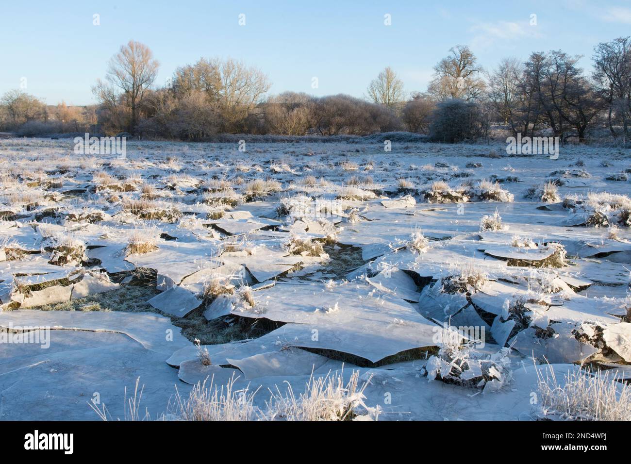 La glace s'est effondrée, le champ a été inondé puis gelé, l'eau s'est évacuée en laissant la glace suspendue qui s'est ensuite effondrée, dans le champ, les ruines de Cowdray, Sussex, Banque D'Images
