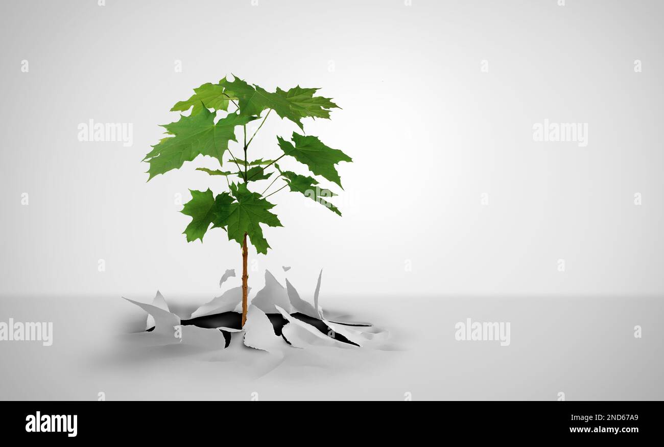 Le potentiel de croissance en tant que plantule ou semis émergeant de rien comme métaphore de la résilience et de la détermination comme une plante lutte pour survivre Banque D'Images