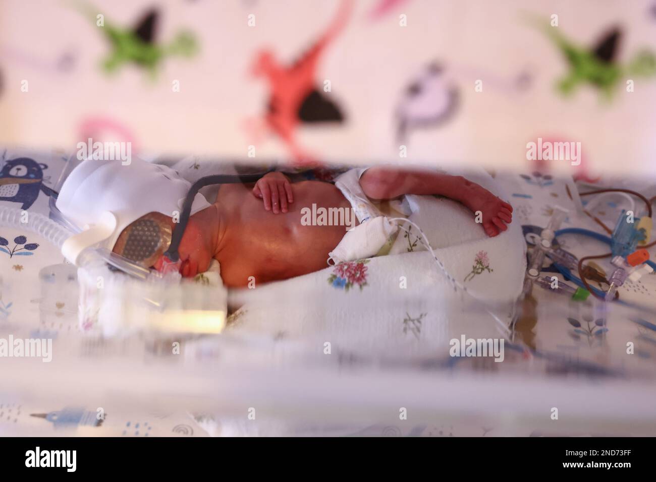 Cracovie, Pologne. 14th févr. 2023. Un des quintuplés, qui sont nés à l'hôpital universitaire, est vu dans un incubateur. Cracovie, Pologne sur 14 février 2023. Trois filles et deux garçons sont nés au cours de la 28th semaine de grossesse par césarienne. Les parents polonais-britanniques ont déjà sept enfants âgés de 10 mois à 12 ans et comprennent deux paires de jumeaux. Les statistiques montrent que les quintuplets sont nés une fois par 52 millions de grossesses. (Credit image: © Beata Zawrzel/ZUMA Press Wire) USAGE ÉDITORIAL SEULEMENT! Non destiné À un usage commercial ! Banque D'Images