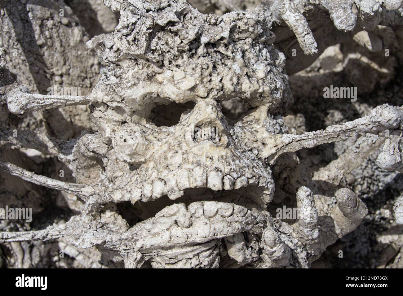 Sculpture d'un crâne terrifiant à Wat Rong Khun, Chiang Rai, Thaïlande. Banque D'Images