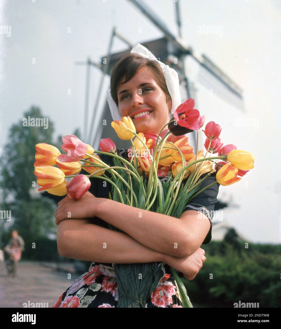 1960s, historique, jeune hollandaise attrayante en costume national et portant un chapeau ou un bonnet hollandais tenant un tas de tulipes, moulin à vent derrière, Hollande, pays-Bas. Originaire de Perse, la tulipe est l'une des principales exportations des pays-Bas, et comme les moulins à vent, un symbole emblématique de la culture hollandaise. La fleur, lorsqu'elle est donnée, est également connue d'une déclaration d'amour. Banque D'Images