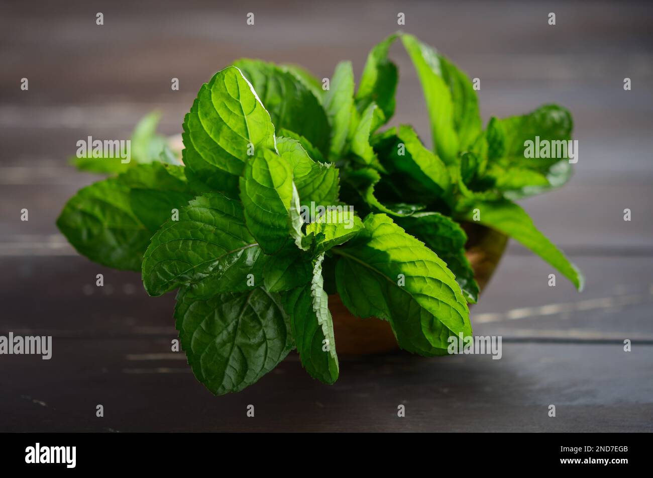 Bouquet de menthe fraîche bio sur l'ancienne table rustique en bois. Banque D'Images