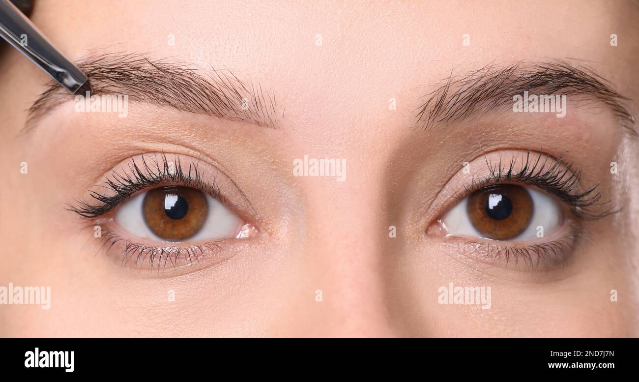 Esthéticienne appliquant la teinte pendant la procédure de correction des sourcils sur fond blanc, gros plan Banque D'Images