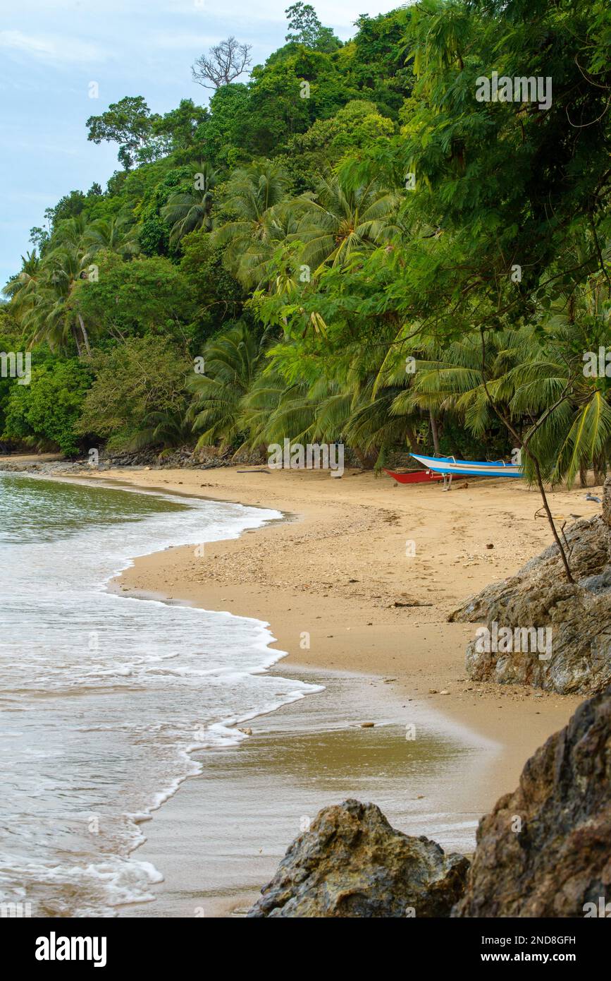 Cette photo capture l'essence des Philippines, avec un bateau traditionnel en bois qui navigue sur des eaux turquoise cristallines, entouré d'un vert luxuriant Banque D'Images