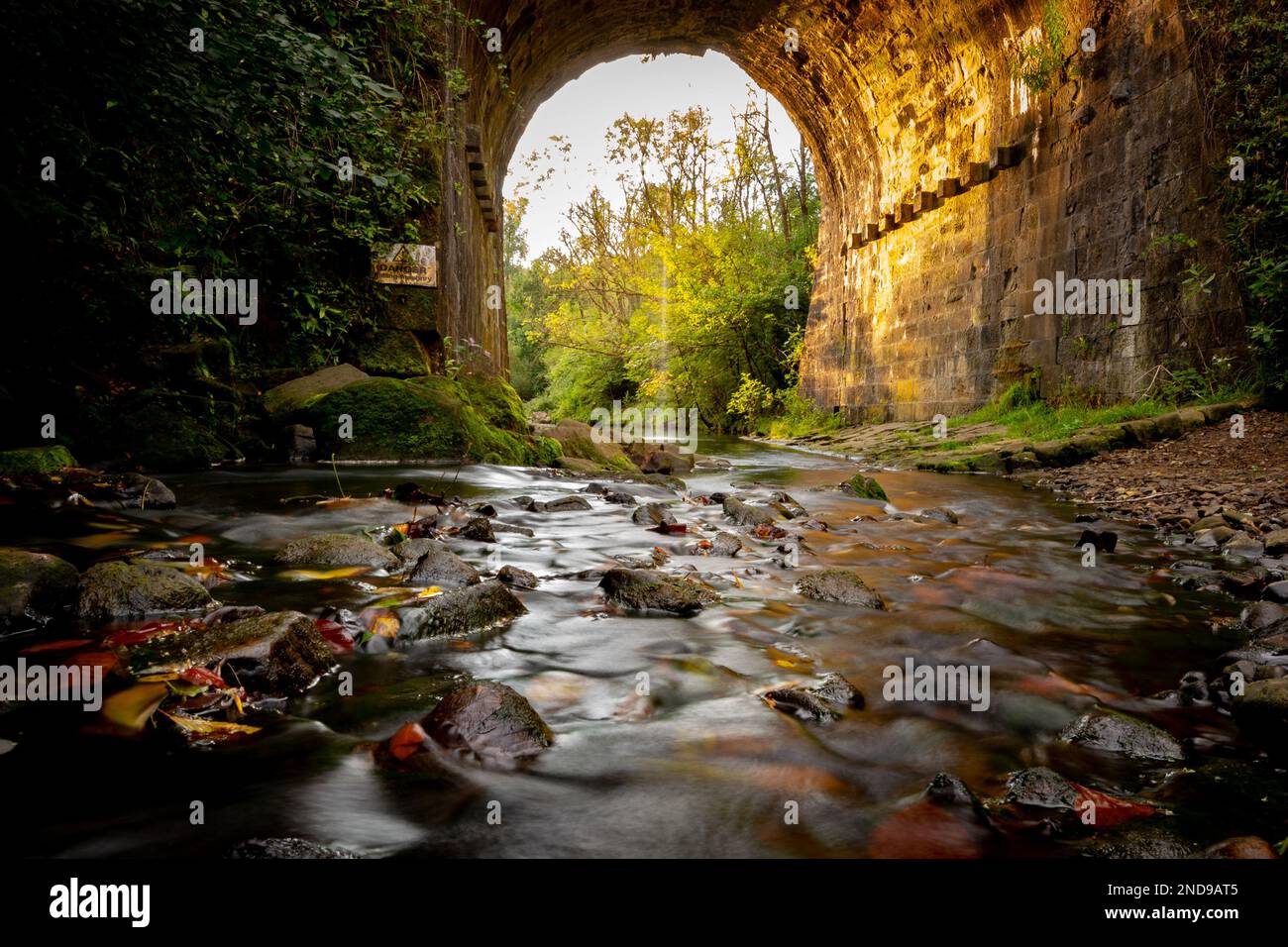 Ruisseau avec des feuilles d'automne et des cailloux sous un viaduc dans le parc Daisy NOOK Oldham England Banque D'Images