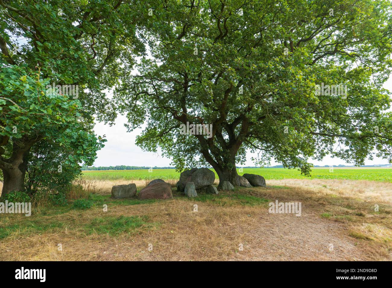 Dolmen D42, Emmer es municipalité d'Emmen dans la province néerlandaise de Drenthe est un tombeau néolithique et un monument historique protégé Banque D'Images