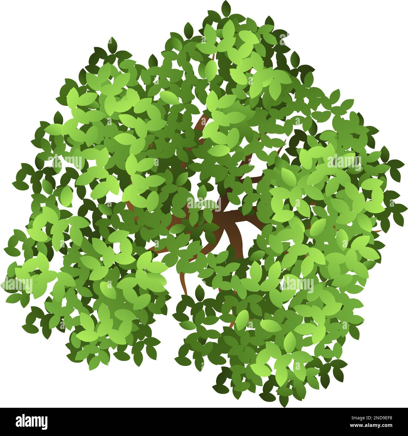 Vue de dessus de l'arbre vert. Élément de conception de paysage Illustration de Vecteur