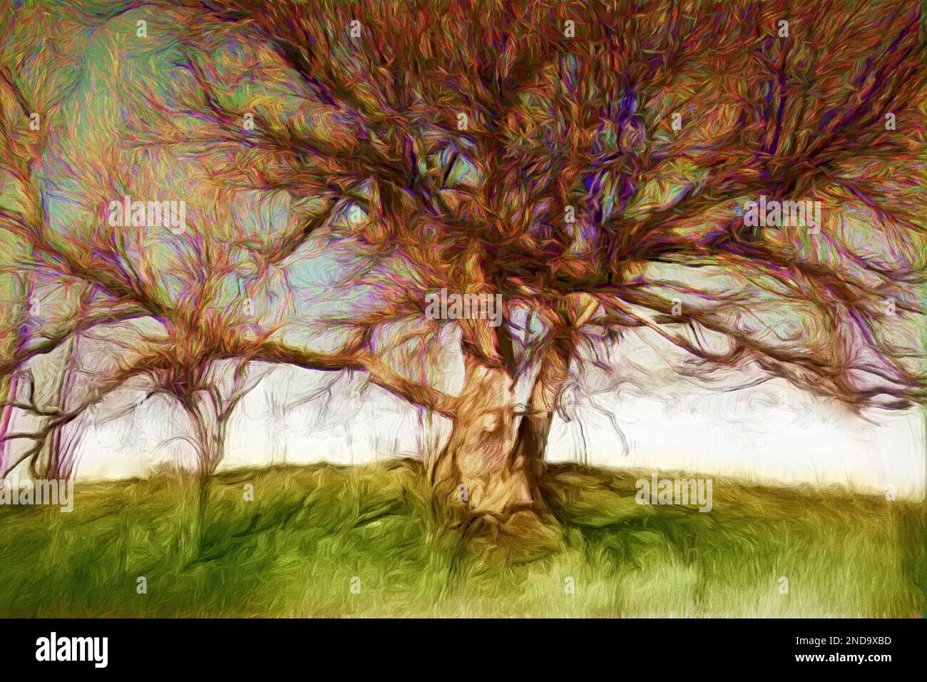 ART MODERNE : arbre de foi Banque D'Images