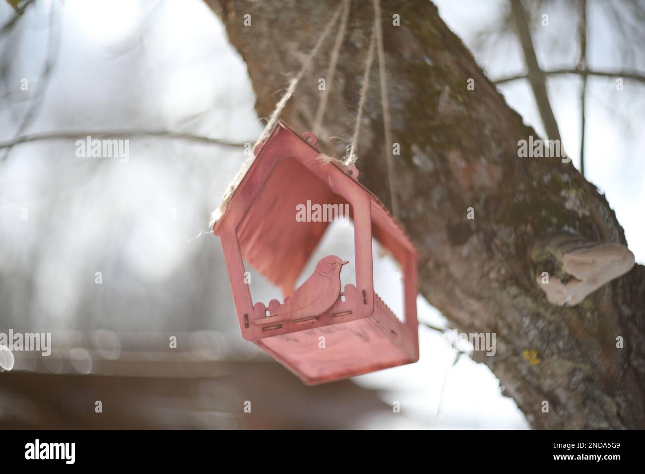 Gros plan d'un mangeoire à oiseaux sur un arbre sous la neige dans la forêt. Banque D'Images