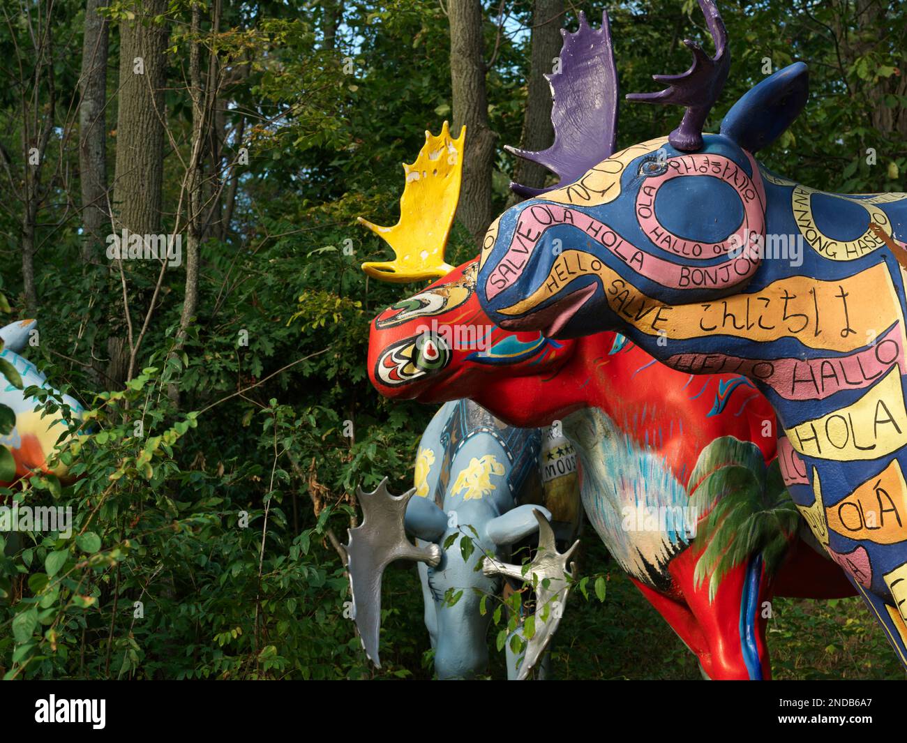 Canada,Ontario,Ivy Lea,peint des sculptures d'orignal dans un cadre forestier Banque D'Images