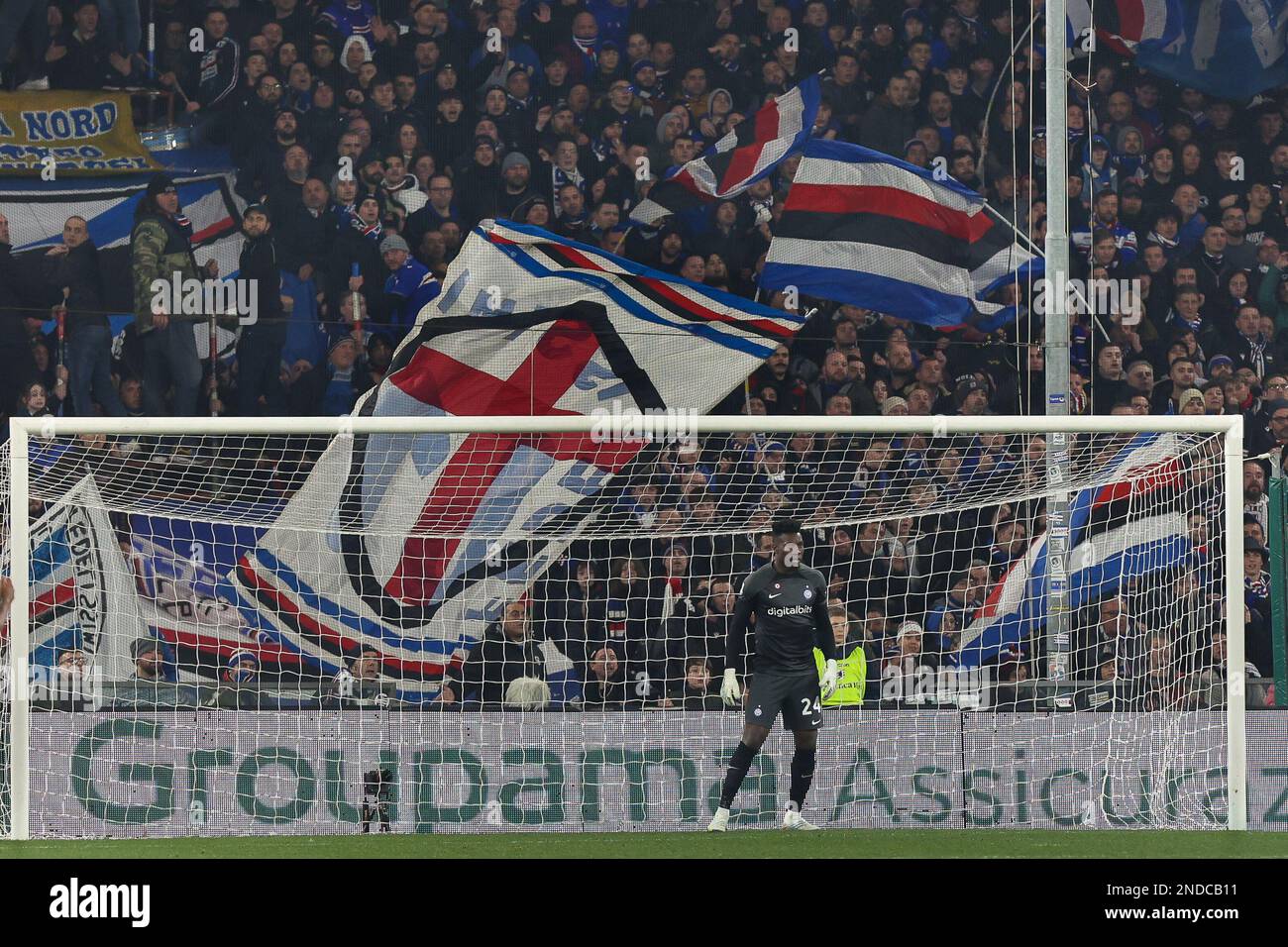 Genova, Italie. 13th févr. 2023. Italie, Genova, fév 13 2023: Andre? Onana (fc Inter gardien de but) dans la zone de but dans la deuxième moitié pendant le match de football SAMPDORIA vs FC INTER, Serie A 2022-2023 day22 au stade Ferraris (photo de Fabrizio Andrea Bertani/Pacific Press/Sipa USA) Credit: SIPA USA/Alay Live News Banque D'Images