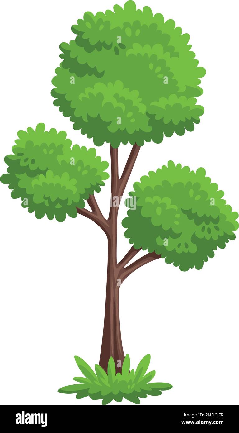 Icône de plante forestière. Arbre de parc vert de dessin animé Illustration de Vecteur