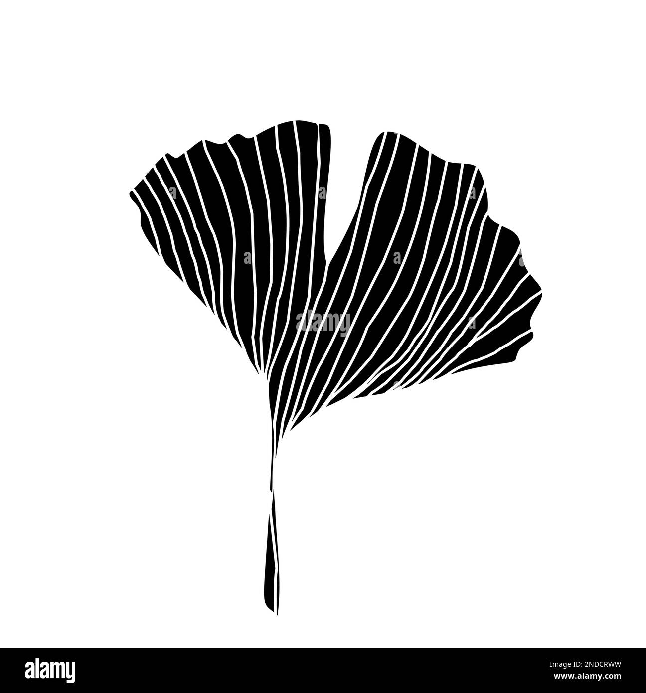 Ginko Biloba Illustration de Vecteur