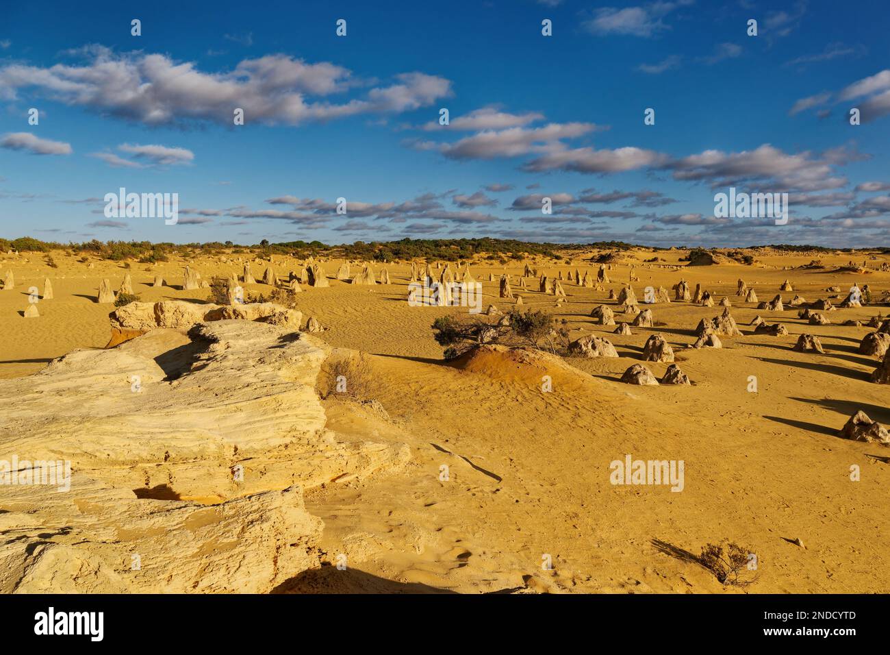 Pinnacles Desert dans le parc national de Nambung, Australie occidentale, paysage de la région du désert avec les pierres rocheuses debout dans le Shire de Dandar Banque D'Images