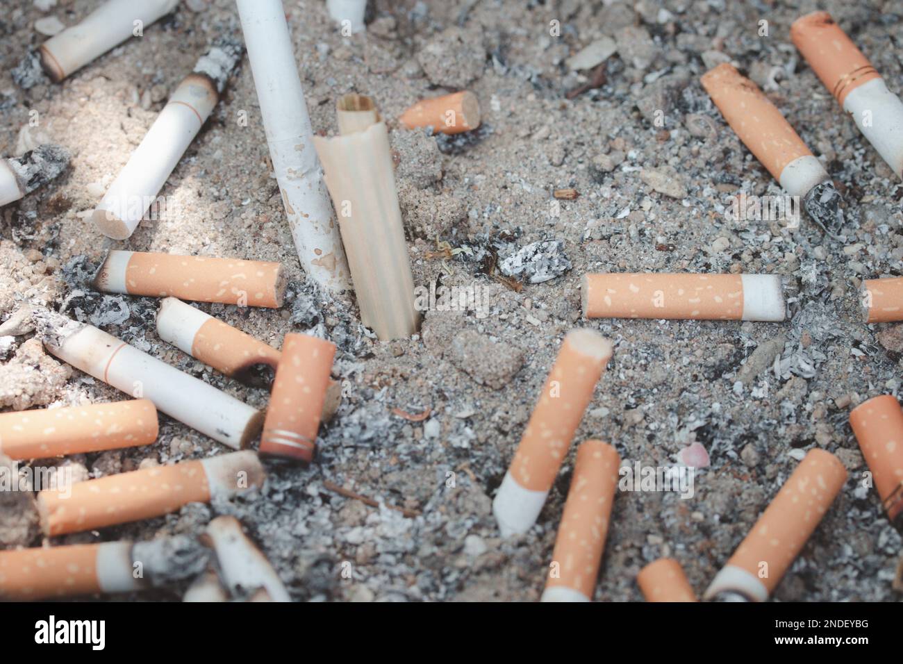 Mégots de cigarettes combinés dans un concept de disque de cigarettes de nombreux débris de cigarettes après avoir fumé Banque D'Images