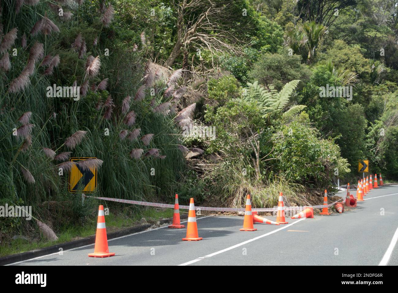 Suite à la tempête tropicale Cyclone Gabrielle, un glissement de terrain a été observé bloquant une demi-route.des cônes de sécurité orange sont en place autour de l'arbre déchu Banque D'Images