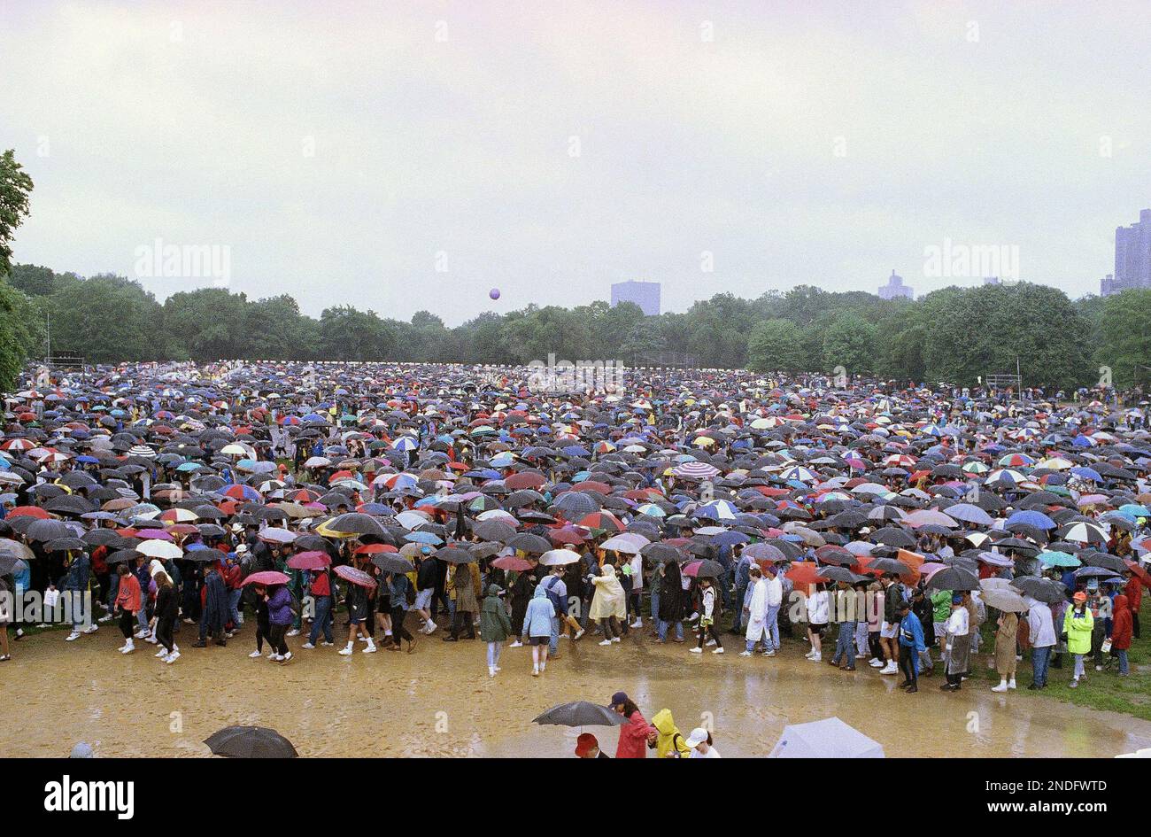 A sea of umbrellas covers the Great Lawn in Central Park in New York, May 31, 1992, as New Yorkers gathered for the 7th annual 10K AIDS Walk New York, benefiting the Gay Men's Health Crisis. A year ago in better weather 26,000 showed up for the event. (AP Photo/Joe Major) Banque D'Images