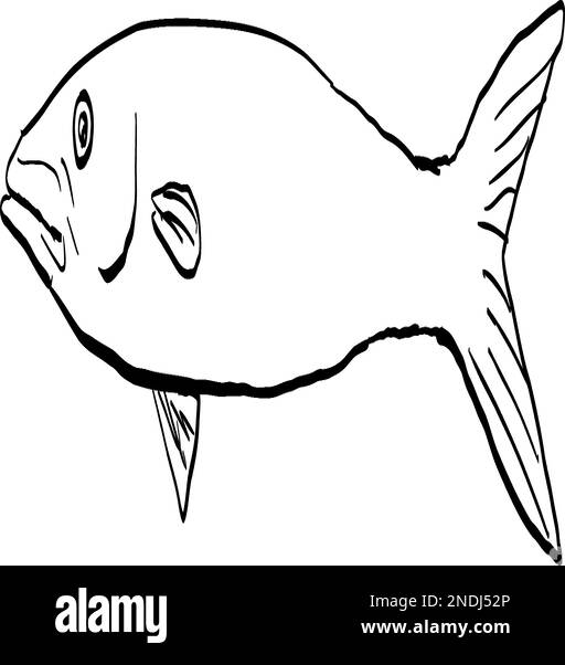 Dessin de style caricatulaire d'un barracuda de Blackfin Sphyraena qenie, ou barracuda de Chevron un poisson endémique à Hawaï et l'archipel hawaïen isolé Illustration de Vecteur