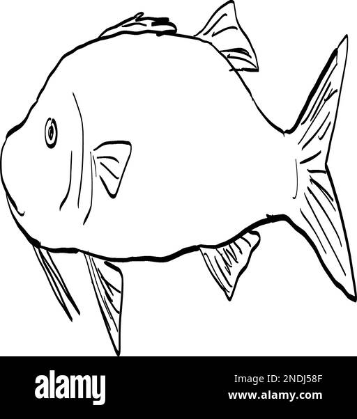 Dessin de style caricaturier d'un Moana kali Paruceneus cyclostomus ou d'un goiatfis à selle d'or, un poisson endémique à Hawaï et à l'archipel hawaïen isolé Illustration de Vecteur