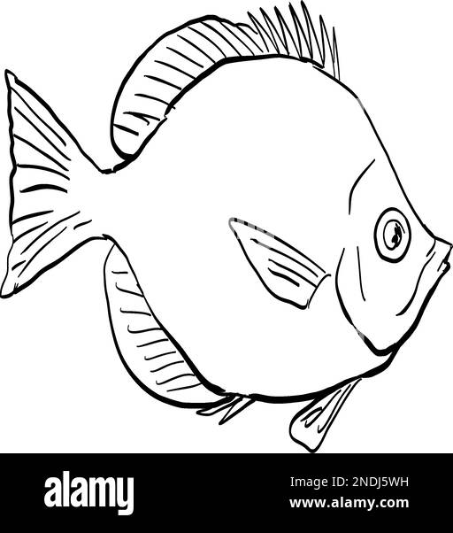 Dessin de style caricaturé d'un butterflyfish de thompson de Hemitaurichthys un poisson endémique à Hawaï et à l'archipel hawaïen sur un fond isolé Illustration de Vecteur