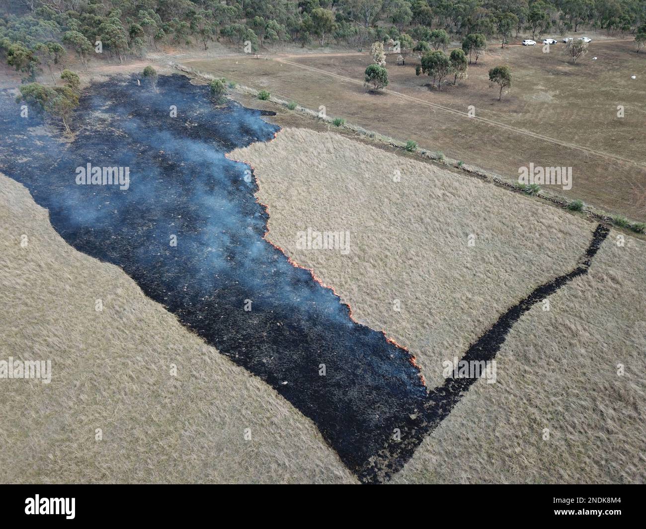 Buissons Paddock Ecological Burn Banque D'Images
