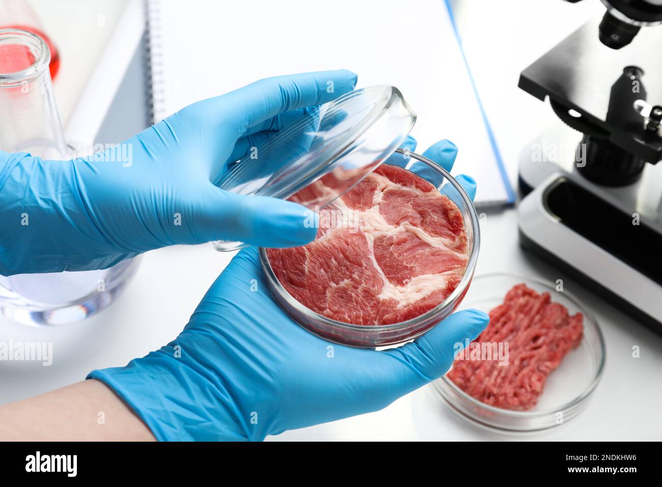 Scientifique tenant une boîte de Petri avec de la viande de culture en laboratoire, en gros plan Banque D'Images