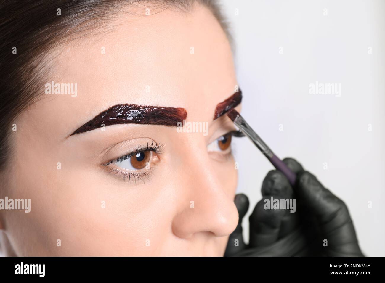 Esthéticienne appliquant la teinte pendant la procédure de correction des sourcils sur fond clair, gros plan Banque D'Images