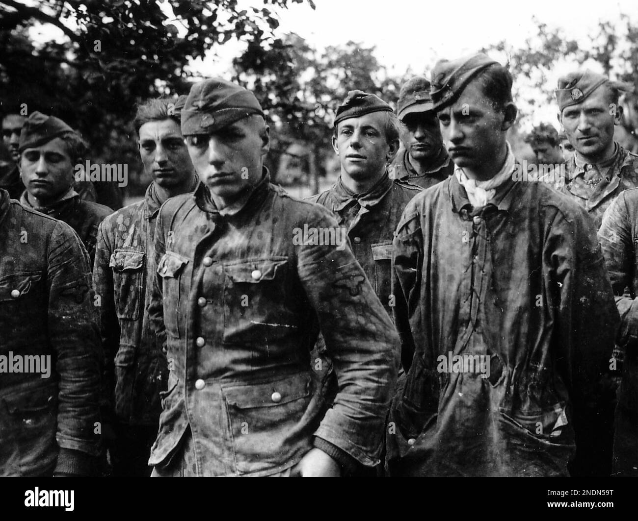 Soldats allemands du Waffen SS, prisonniers en Normandie, 1944. Les prisonniers sont membres de la division de Panzer de 12th SS Hitlerjugend Banque D'Images
