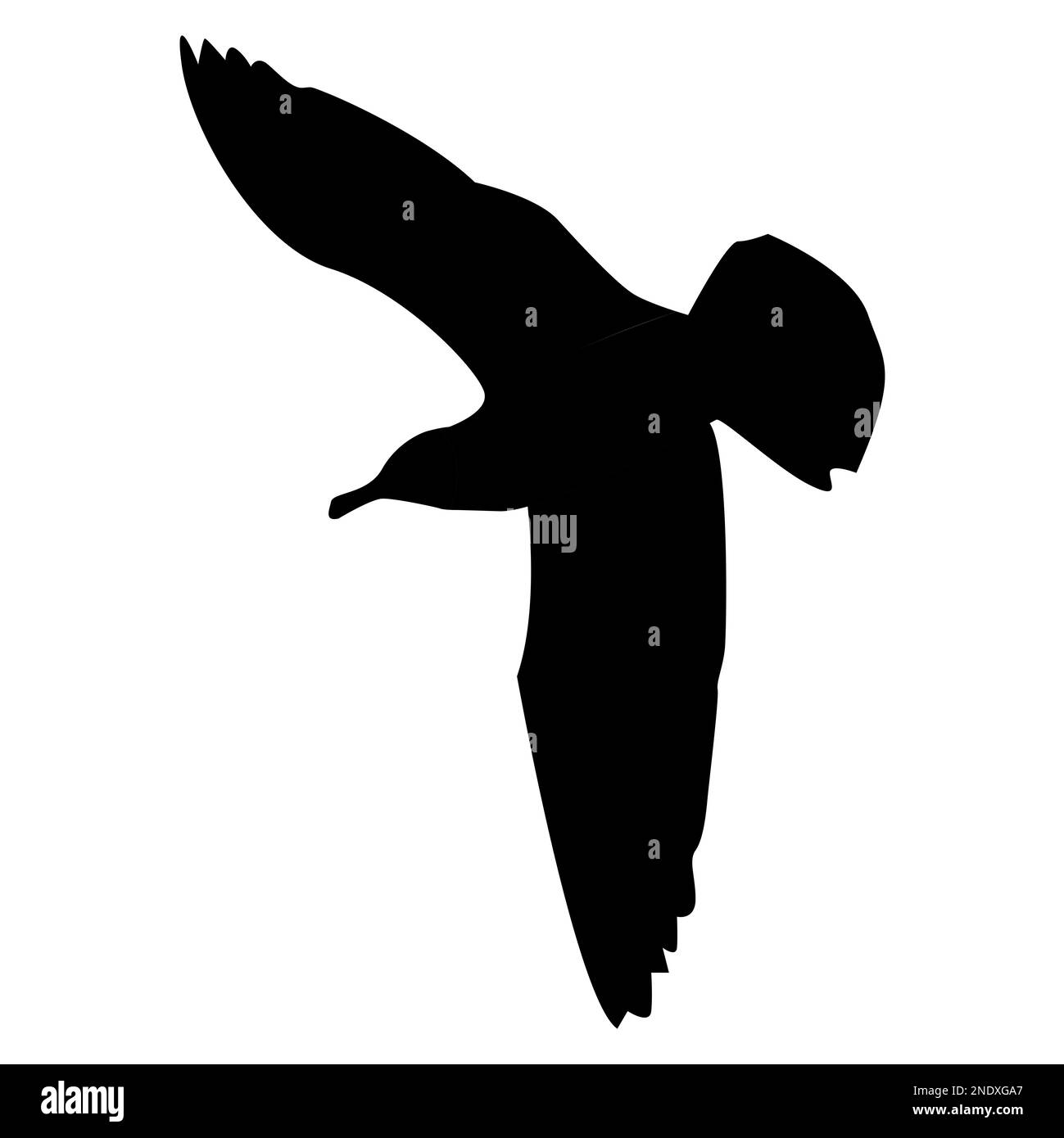 Vue de dessous d'une silhouette de mouette volante avec ailes étalées isolées sur du blanc. Oiseau de sterne volant. Illustration vectorielle. Banque D'Images