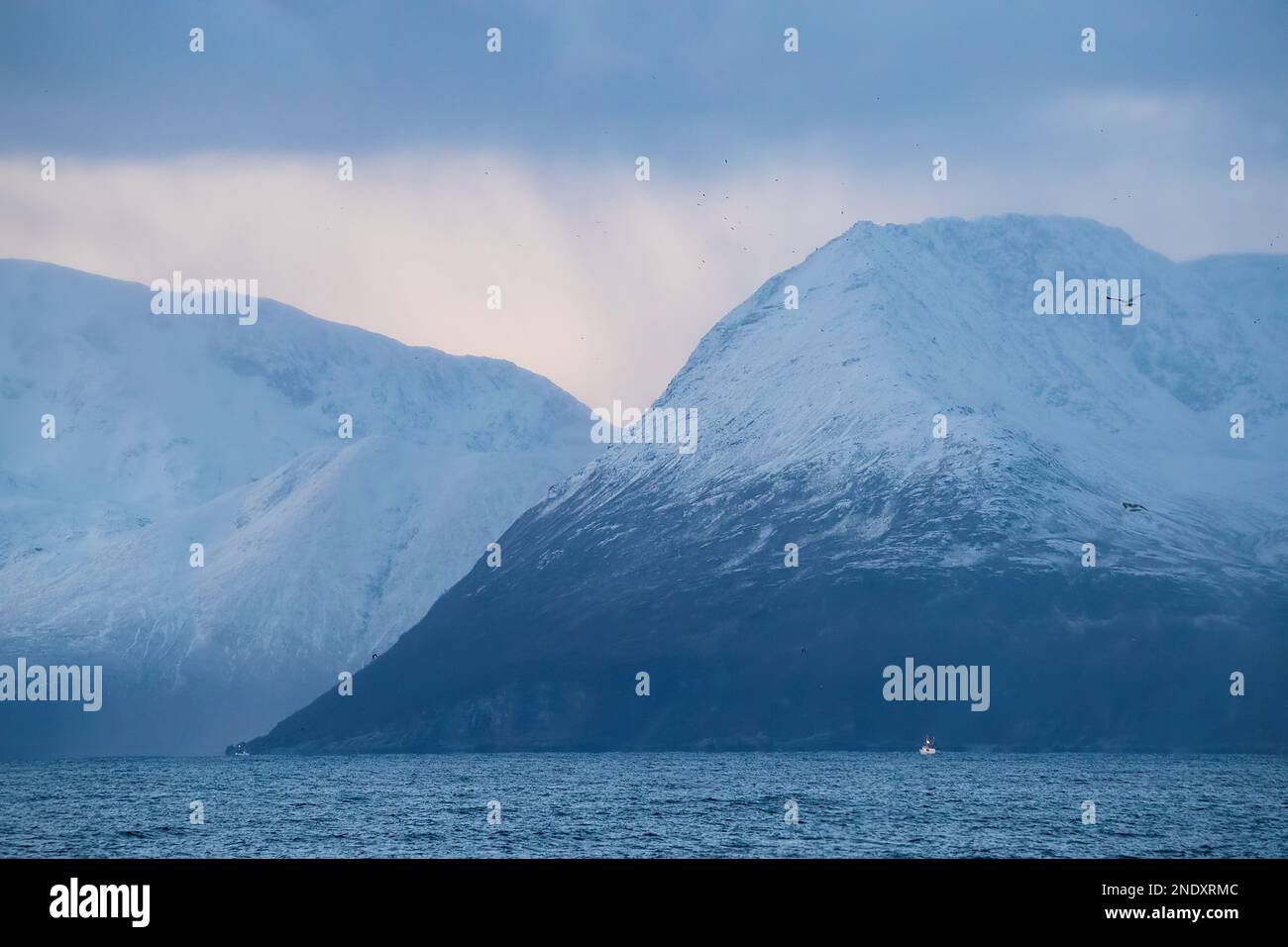 Île de Skjervøya. Kvænangen fyord. Norvège, Scandinavie Banque D'Images