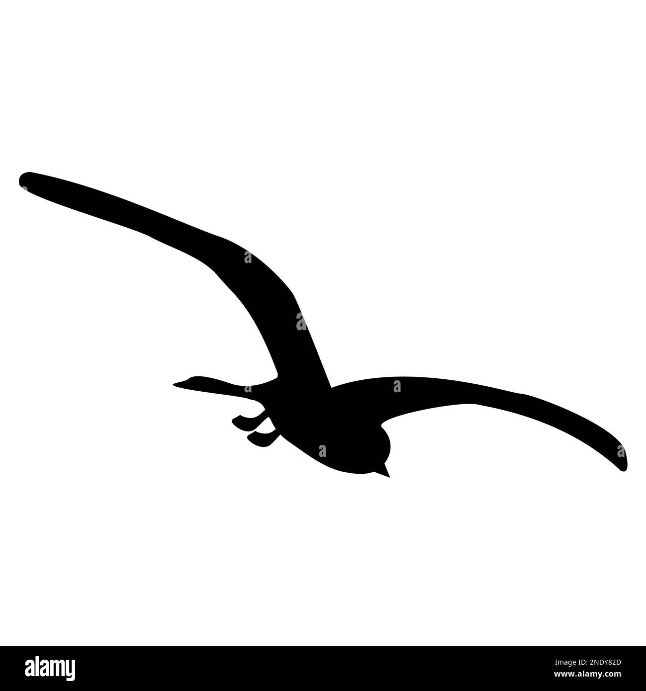 Silhouette d'oiseau de Tern avec ailes étalées isolées sur blanc. Un crâne qui s'envolent. Illustration vectorielle. Banque D'Images