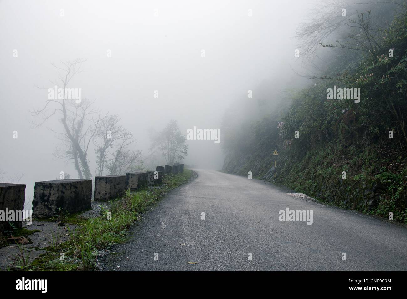 Une route asphaltée étroite sur la pente d'une colline à couverture verte recouverte de brouillard Banque D'Images