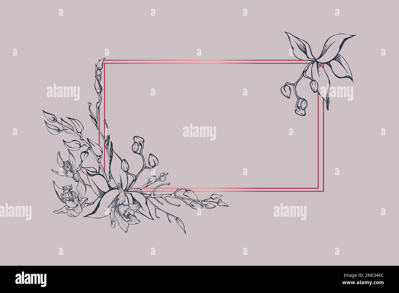 Fleurs et branches d'orchidées à encre vectorielle dessinées à la main, monochrome, contour détaillé. Composition horizontale du cadre. Isolé sur fond blanc. Conception Illustration de Vecteur