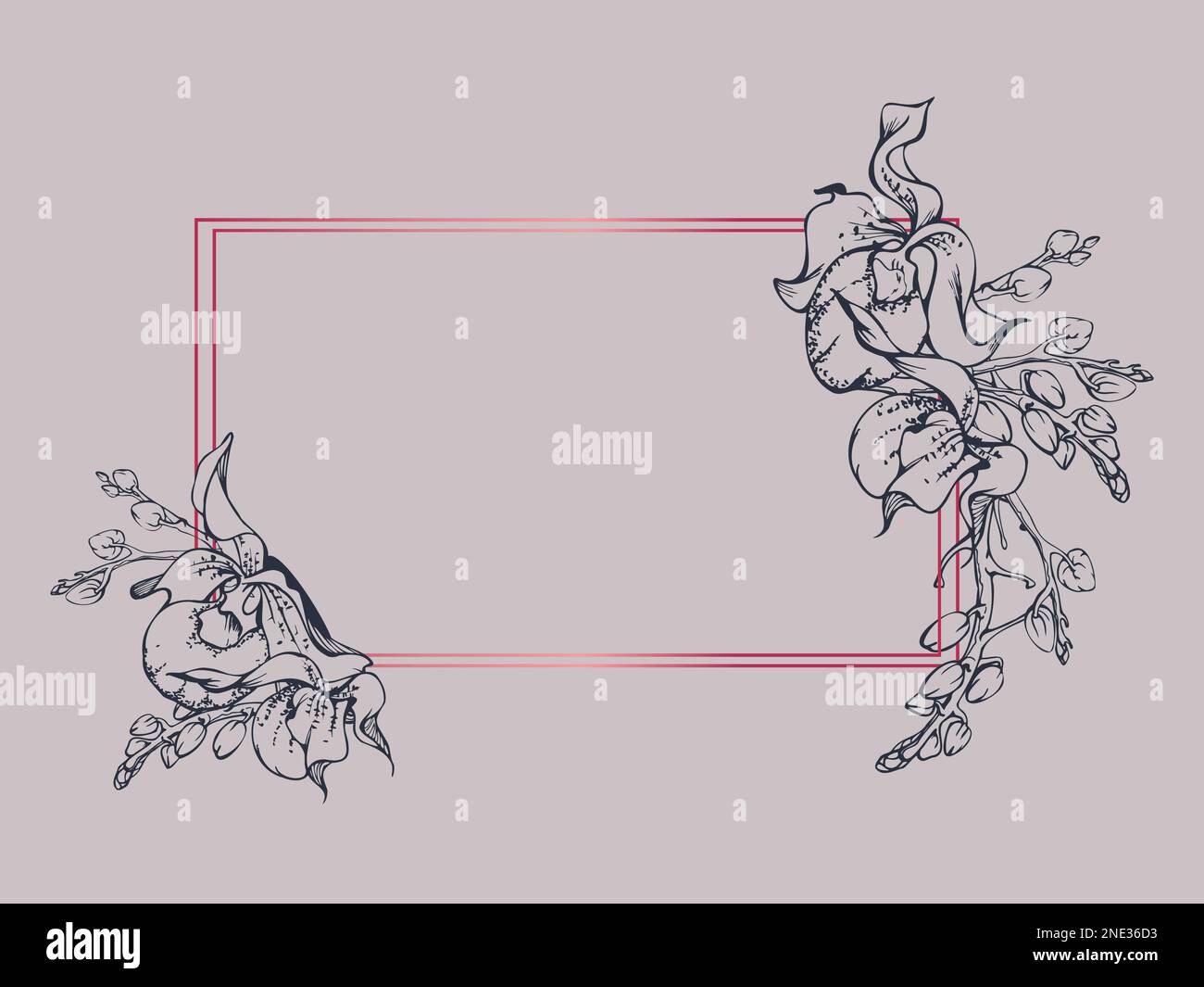 Fleurs et branches d'orchidées à encre vectorielle dessinées à la main, monochrome, contour détaillé. Composition horizontale du cadre. Isolé sur fond blanc. Conception Illustration de Vecteur